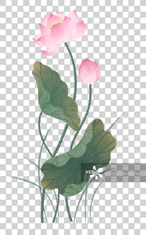 国风中式荷花插画元素图片素材