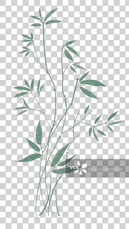 中国风水彩竹叶插画元素图片素材