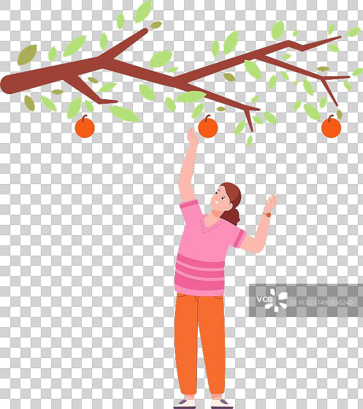 苹果树下园艺的女人图片素材