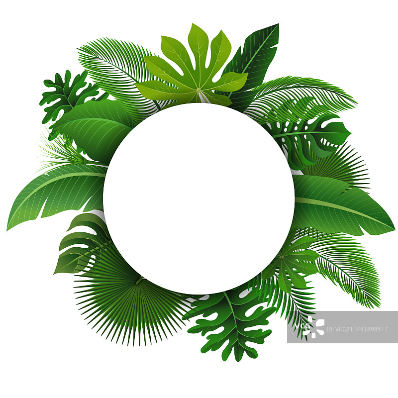 热带树叶文字空间圆形标志图片素材