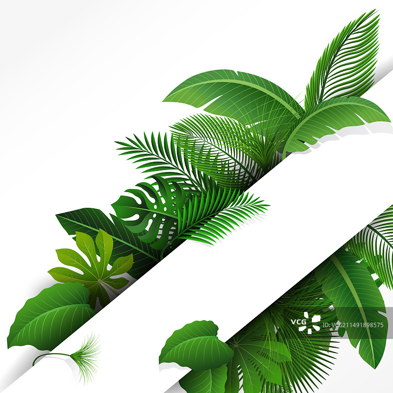热带树叶文字空间标志图片素材