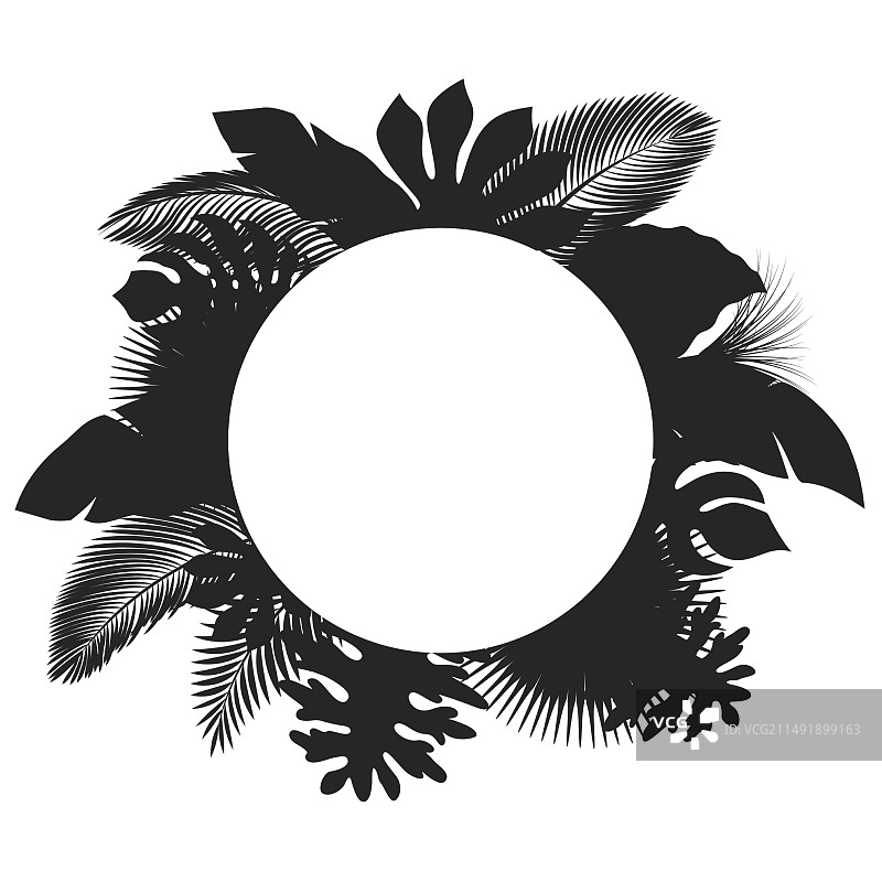 圆形热带树叶剪影图片素材
