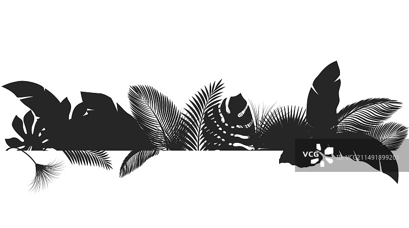 热带树叶banner剪影图片素材