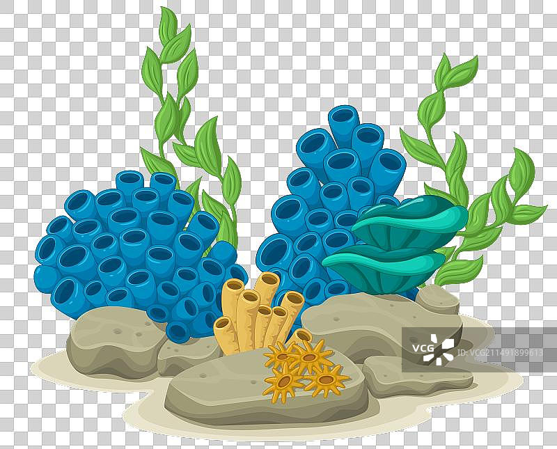 海洋藻类黄色管状海绵和海葵图片素材