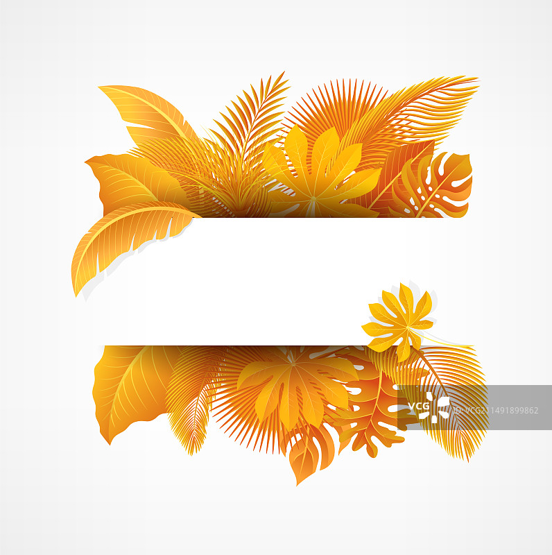 热带树叶文字空间标志图片素材