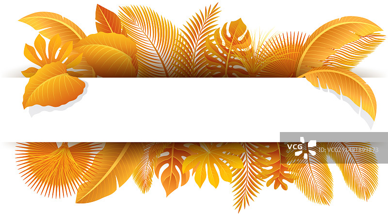 热带树叶文字空间标志图片素材