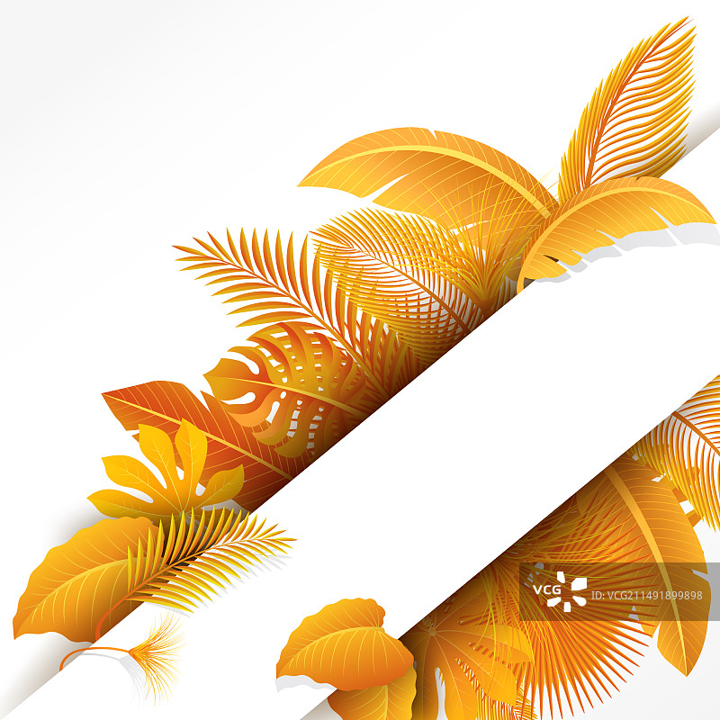 黄色热带文字空间标志图片素材