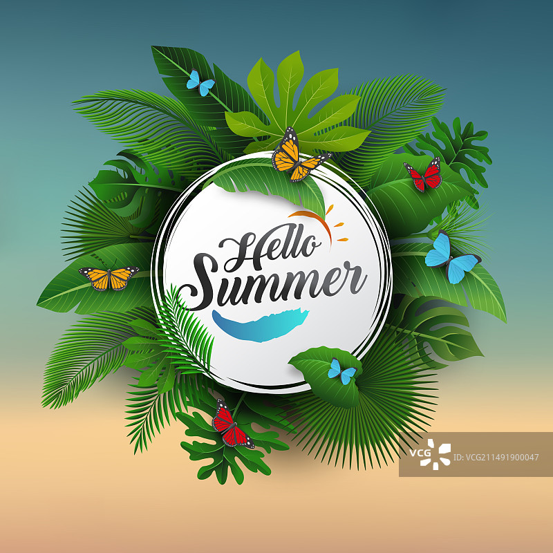 热带树叶蓝色夏日标牌图片素材