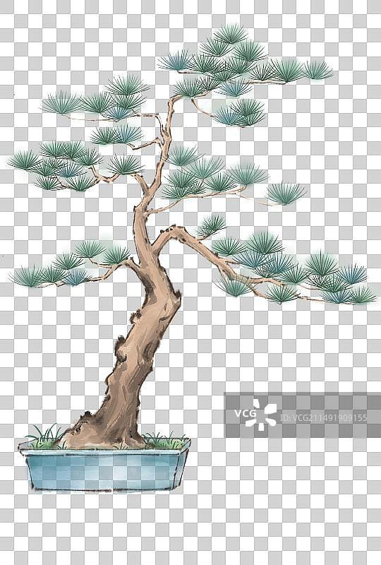 中式水墨风插画松树盆栽图片素材
