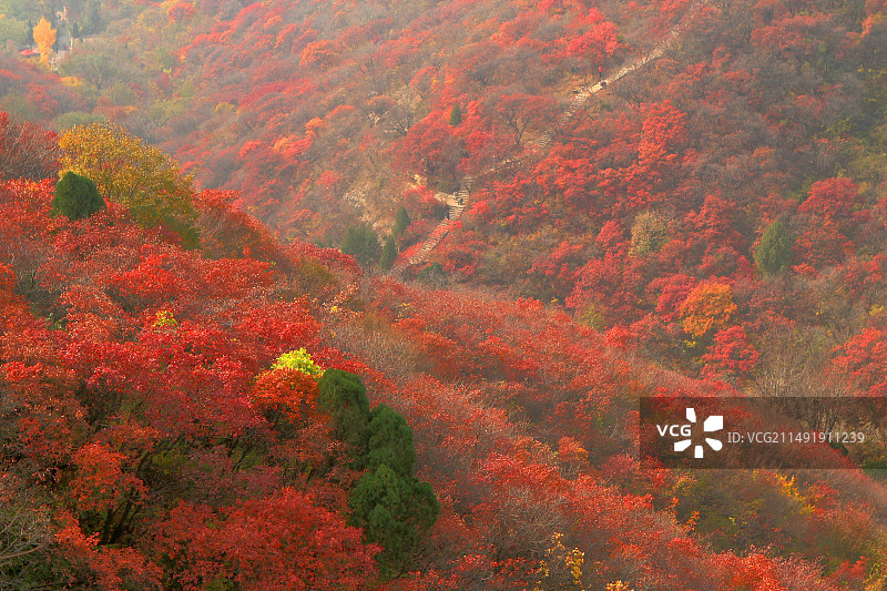 山东临朐石门山秋色图片素材