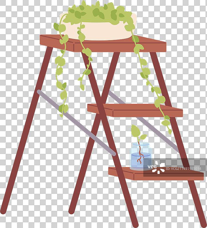 带有室内植物的装饰梯子家居花园图片素材