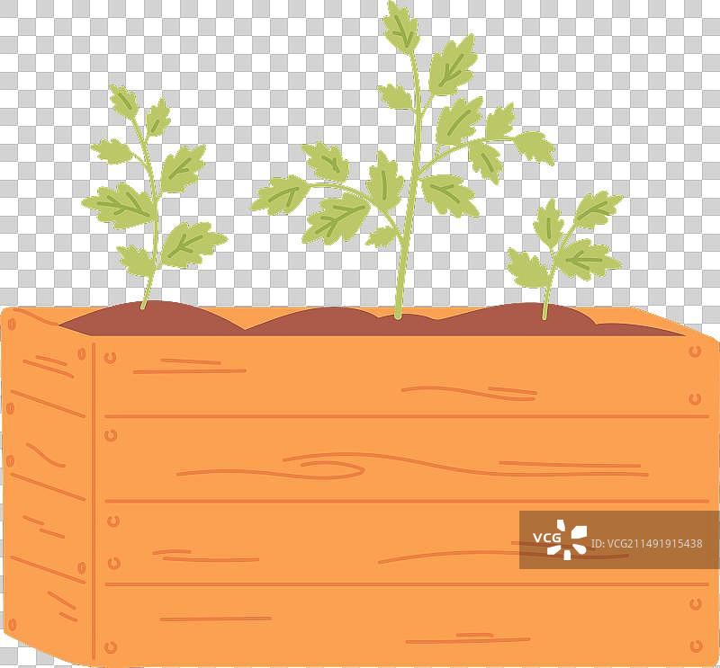 木箱园艺土盆栽幼苗图片素材