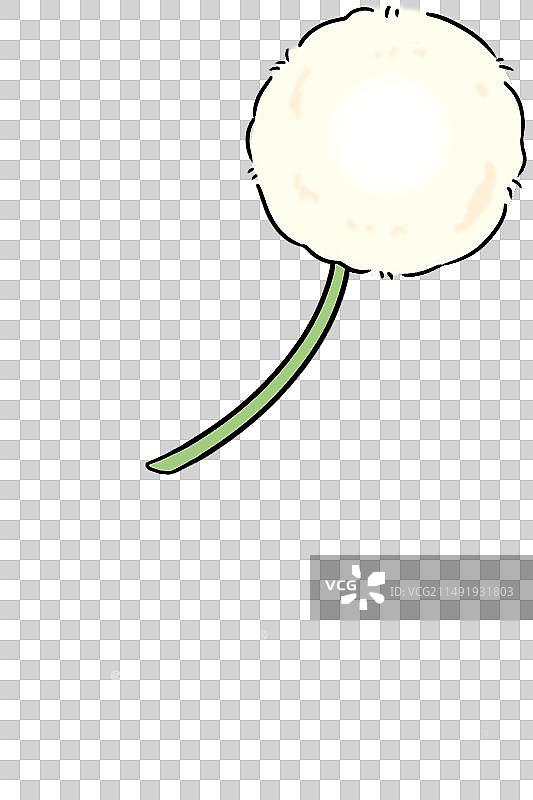 蒲公英图片素材