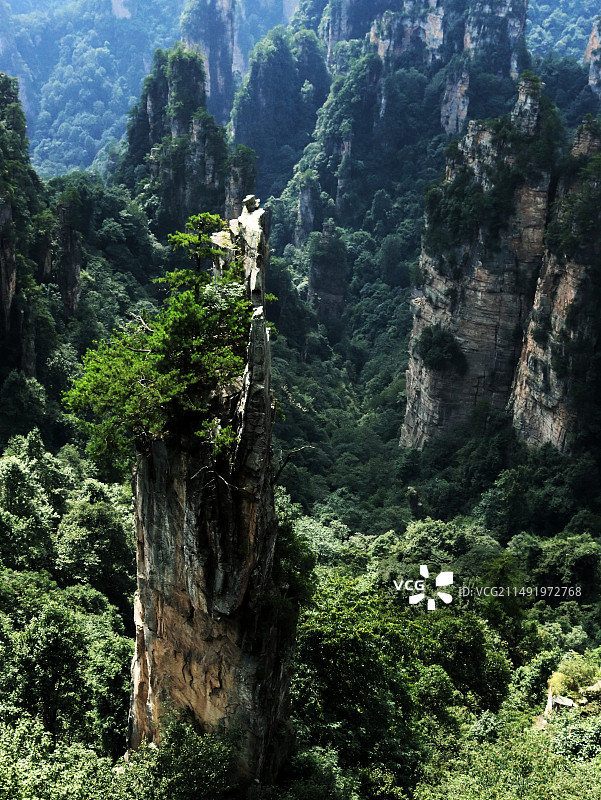武陵源风光之奇峰竞秀图片素材