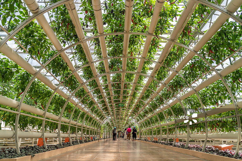 寿光国际蔬菜科技博览会图片素材