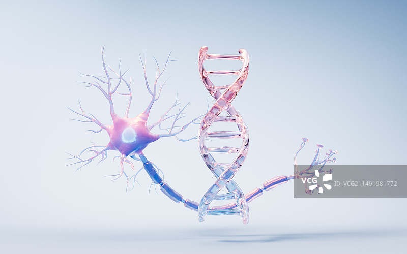 神经元细胞生物基因概念三维渲染图片素材
