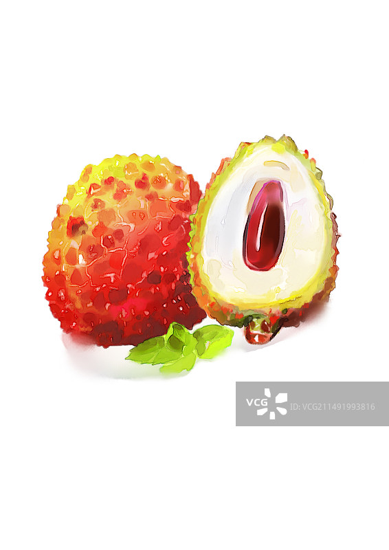 水彩画荔枝图片素材