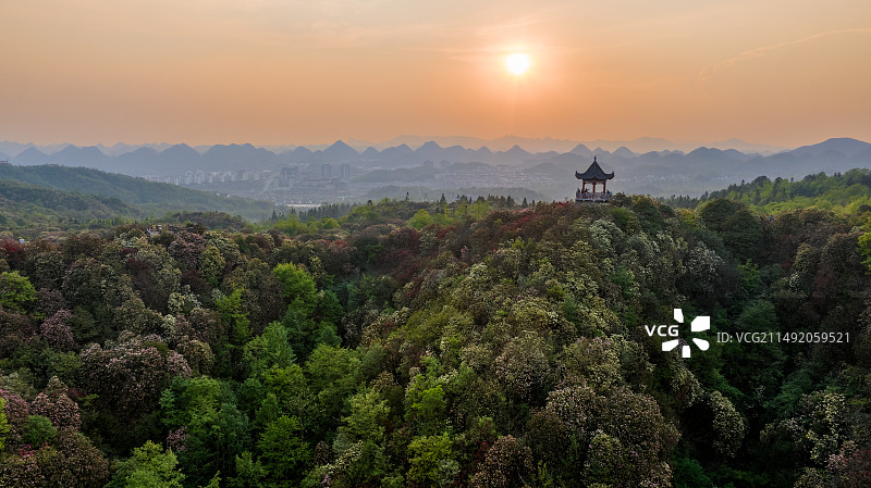夕阳下的毕节百里杜鹃景色图片素材