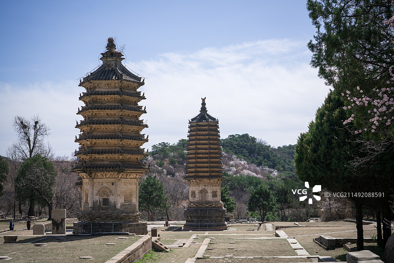 中国北京银山塔林风景区春天山桃花盛开风景图片素材