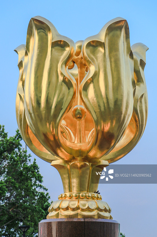 蓝天下的香港紫金花广场图片素材