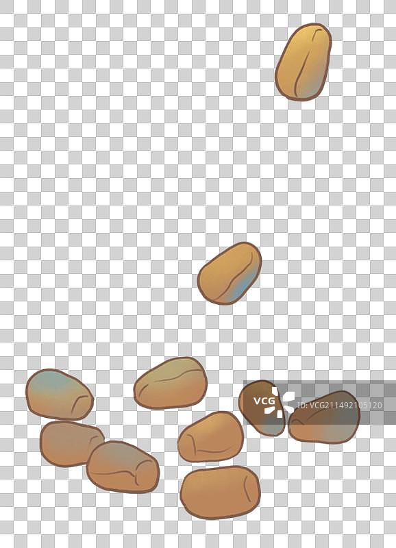 决明子图片素材