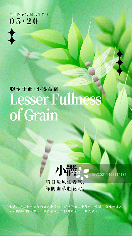 夏季节气小满小麦蜻蜓弥散光竖版插画海报图片素材