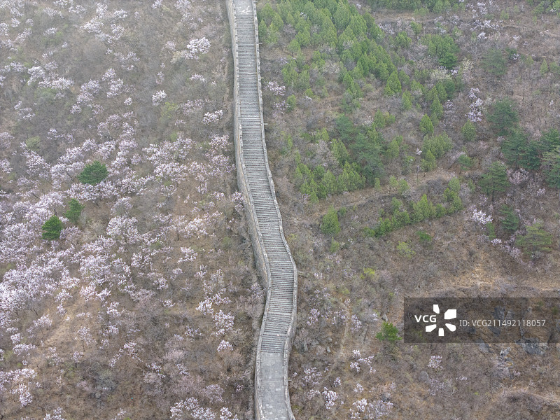 北京市春季黄花城野长城航拍视角图片素材