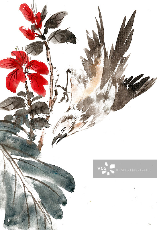 觅食的小鸟图片素材