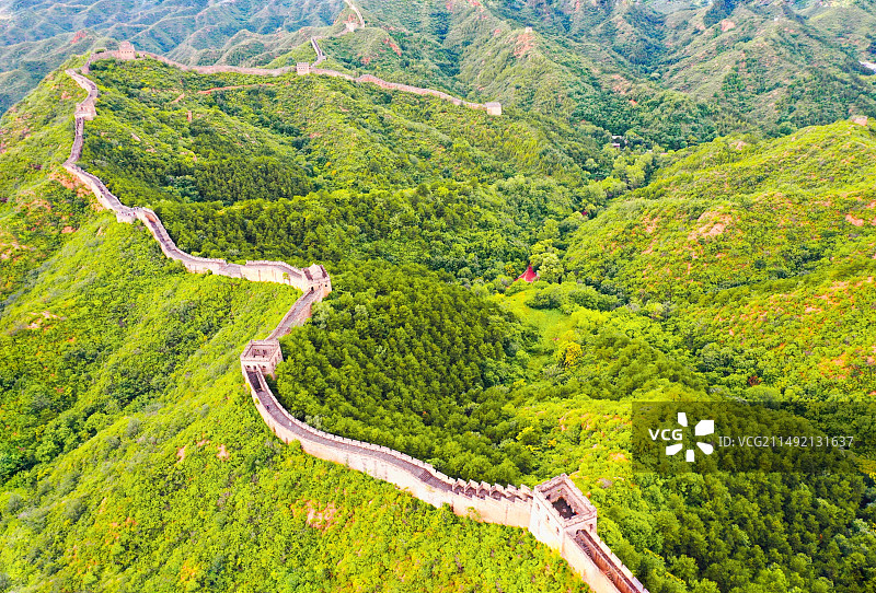 春风又度图片素材