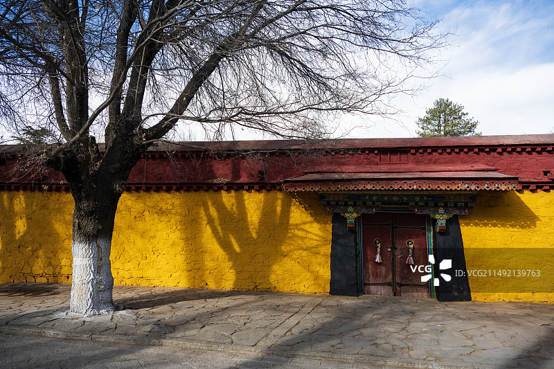 西藏拉萨晴朗冬季罗布林卡行宫内的树和围墙图片素材