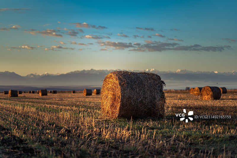 秋天的草垛子图片素材