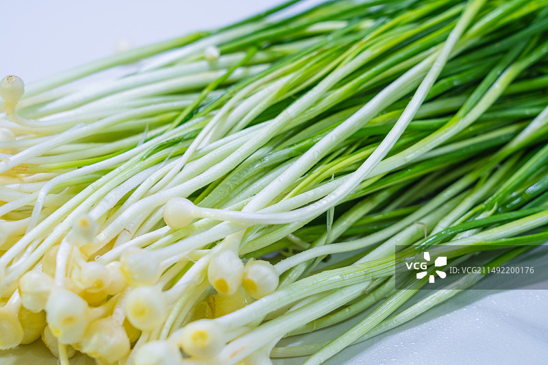 春天的沙葱野葱图片素材