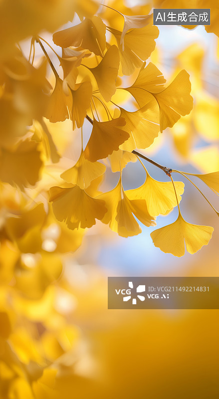 【AI数字艺术】秋天的银杏叶图片素材