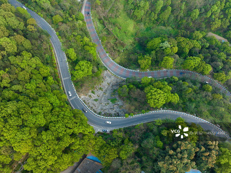 重庆沙坪坝歌乐山森林公园中的蜿蜒公路图片素材
