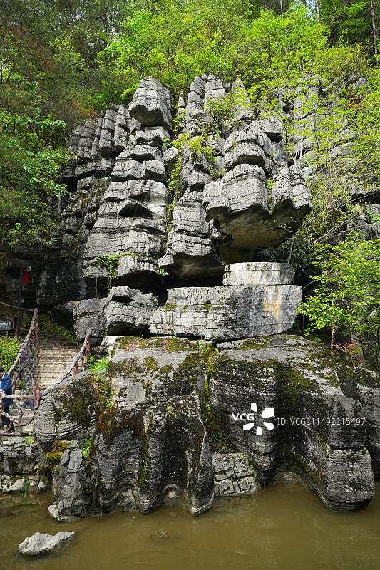 猛虎衔玉～梭布垭石林一景图片素材