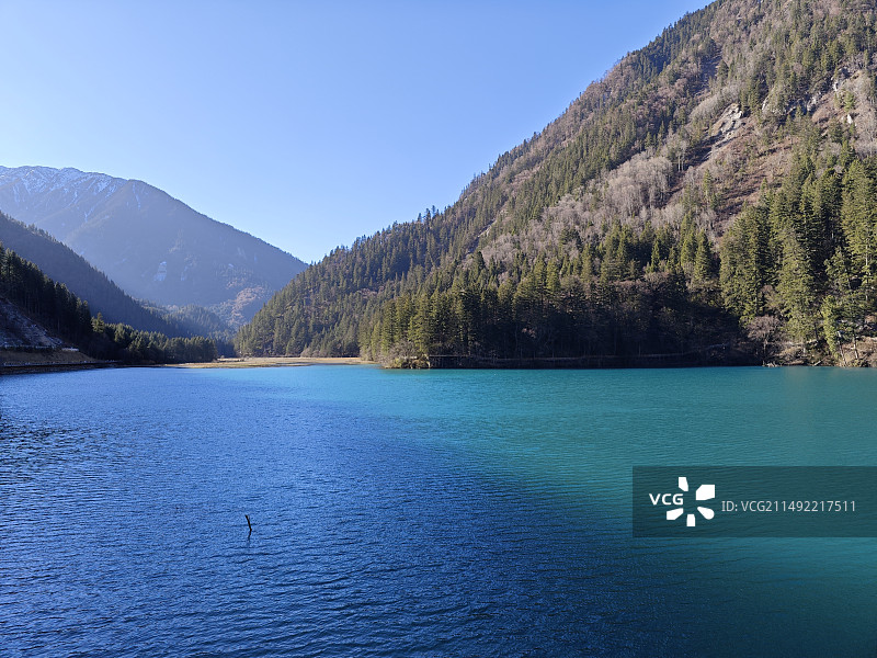 九寨沟箭竹海图片素材