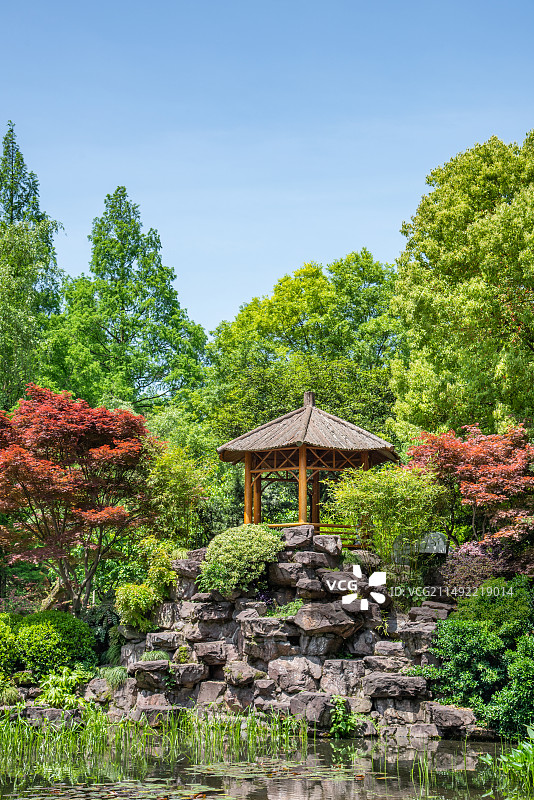 杭州 学士公园 仿古亭 假山 园林景观 古典园林 西湖畔 西湖 春天 春景 绿色 园林春景图片素材