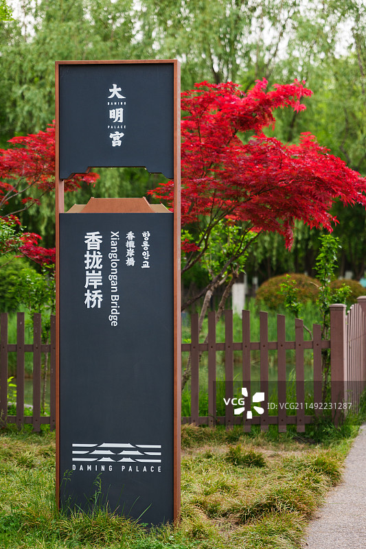 西安大明宫香拢岸桥路标牌与红色的枫树图片素材