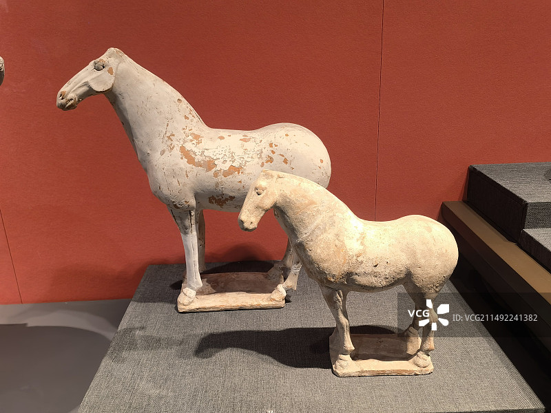 陕西历史博物馆内的马俑图片素材