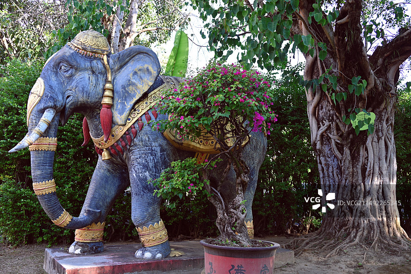 芒市勐巴娜西珍奇园图片素材