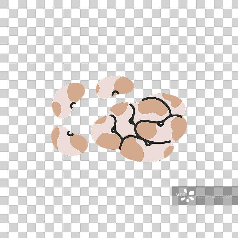 一堆有机腰豆图片素材