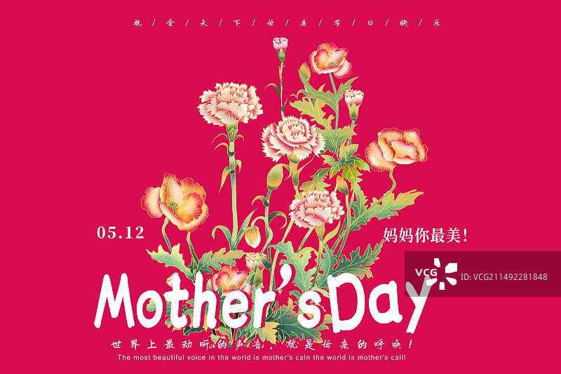 手绘感恩母亲节公益宣传插画海报模版 盛开的康乃馨鲜花 红色背景 英文字母排版设计 横版图片素材