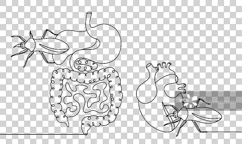 恰加斯病图片素材