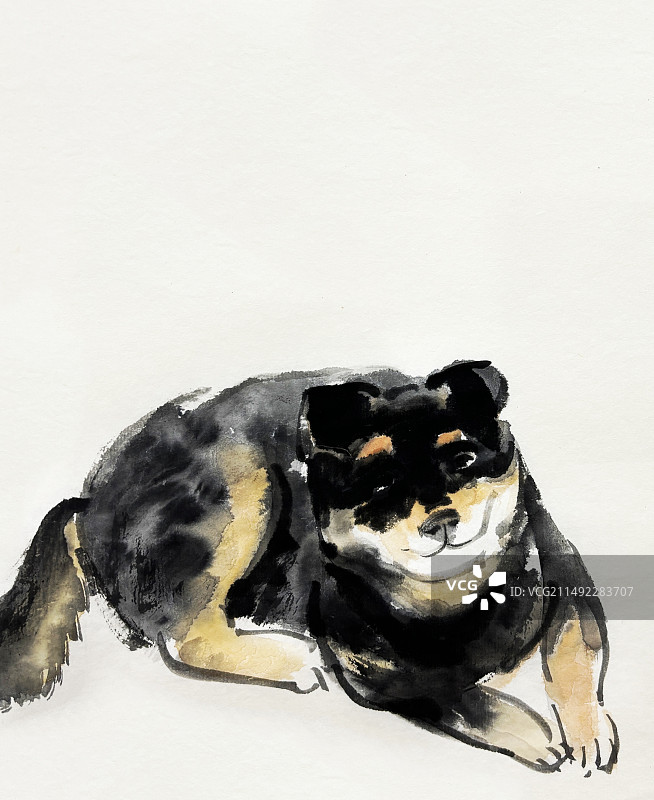 中华田园犬铁包金四眼狗水墨画动物写生可爱的插画图片素材