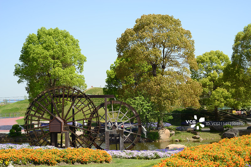 公园里的树木和植物映衬着晴朗的天空图片素材