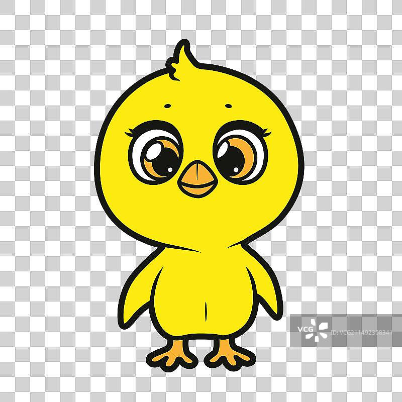 可爱的卡通小鸡颜色变化图片素材