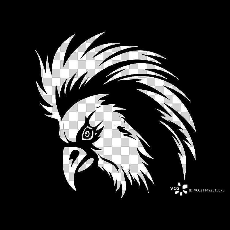 高品质的鹦鹉标志，适用于T恤图片素材