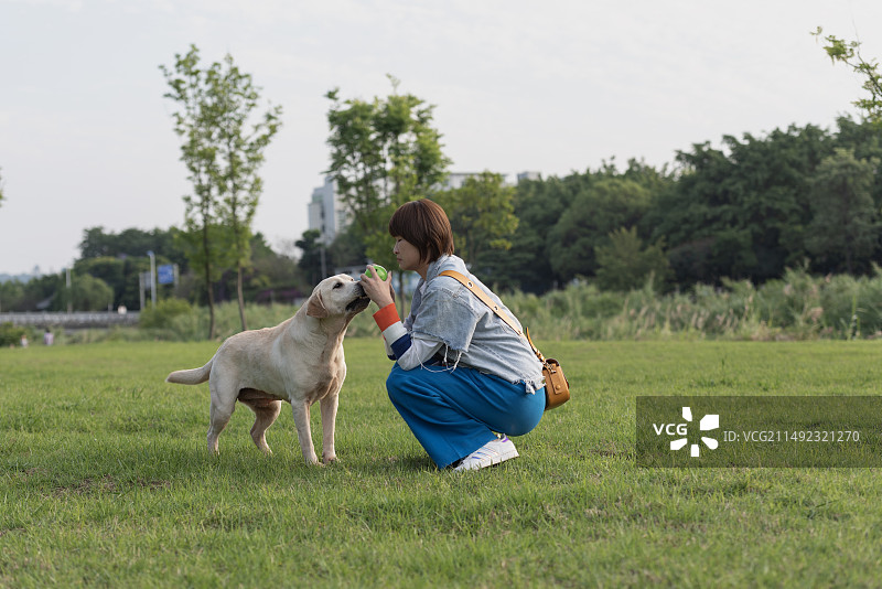 一位女主人跟她的狗狗在户外互动玩球图片素材