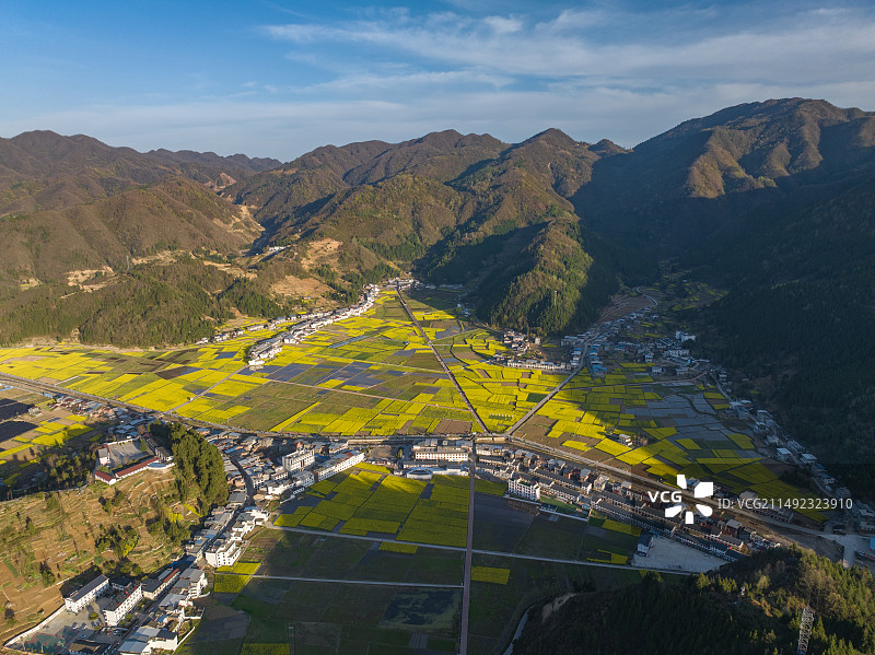 航拍汉中镇巴县黎坝镇油菜花梯田花海图片素材