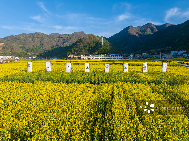 航拍汉中镇巴县黎坝镇油菜花梯田花海图片素材